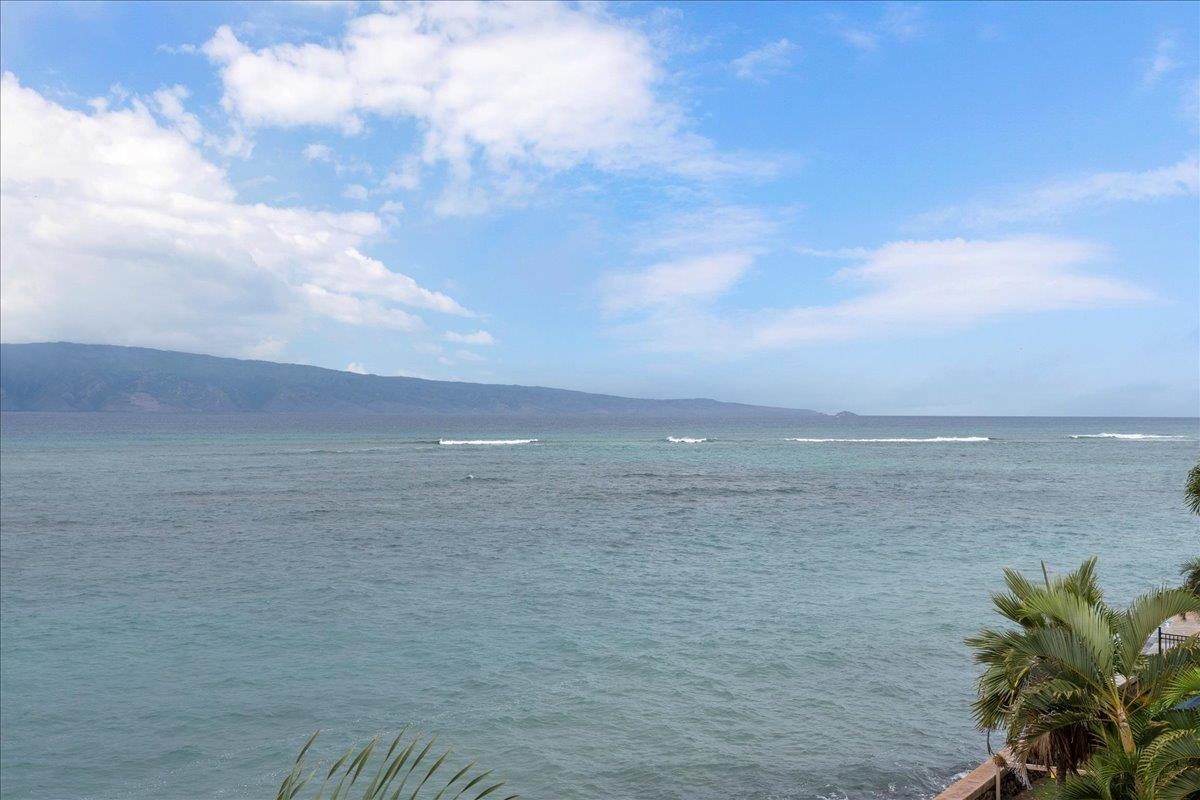 Pohailani Maui condo # 308, Lahaina, Hawaii - photo 43 of 47