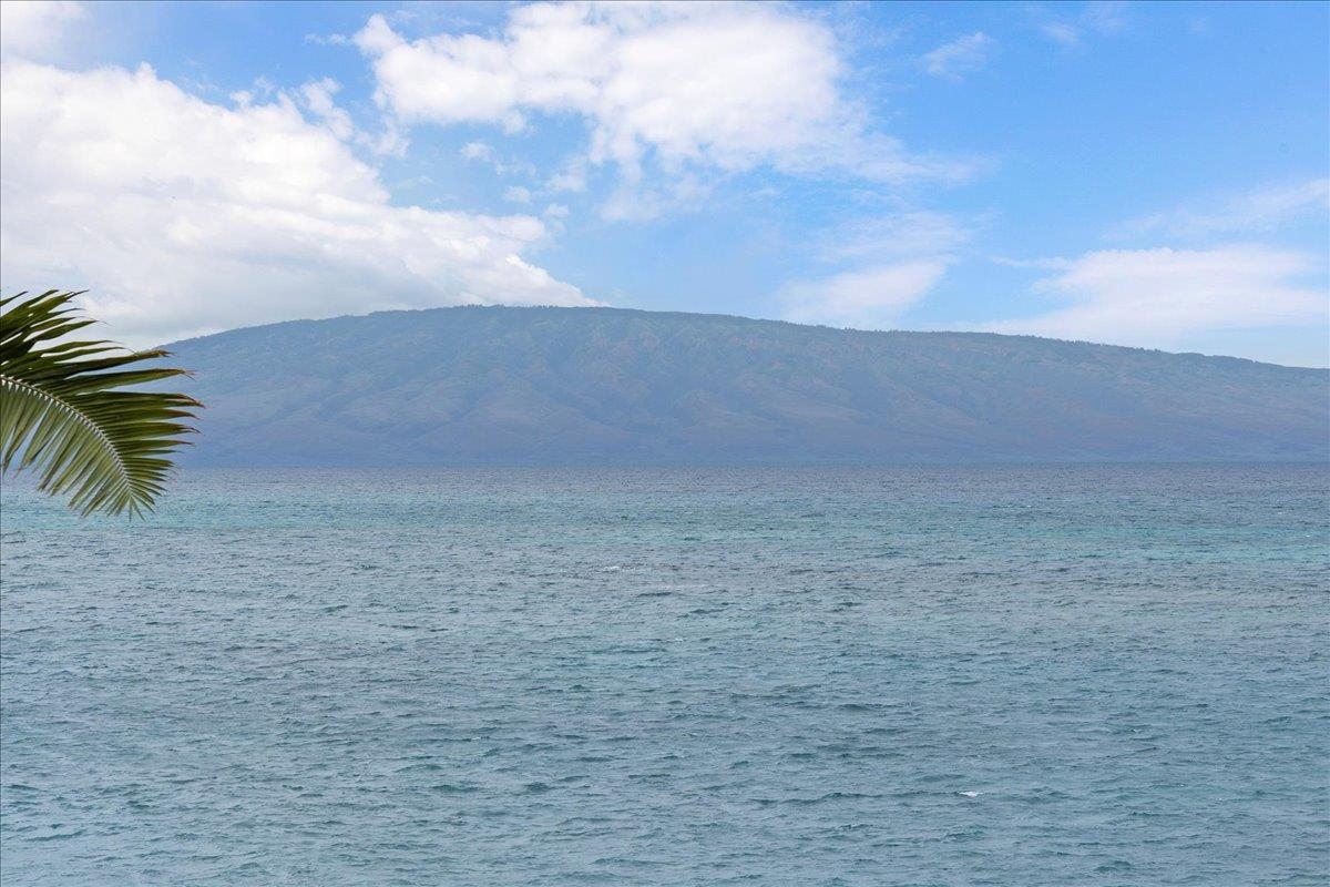 Pohailani Maui condo # 308, Lahaina, Hawaii - photo 47 of 47