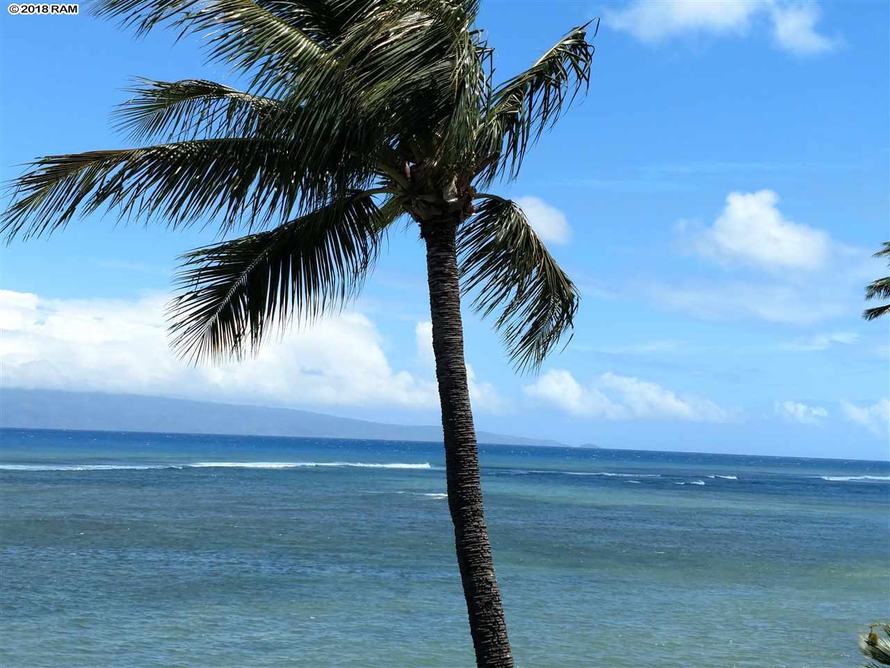 Pohailani Maui condo # 309, Lahaina, Hawaii - photo 4 of 24