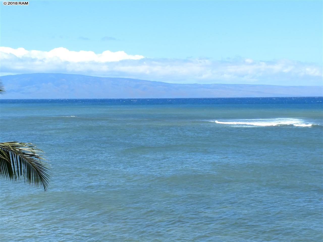 Pohailani Maui condo # 309, Lahaina, Hawaii - photo 6 of 24