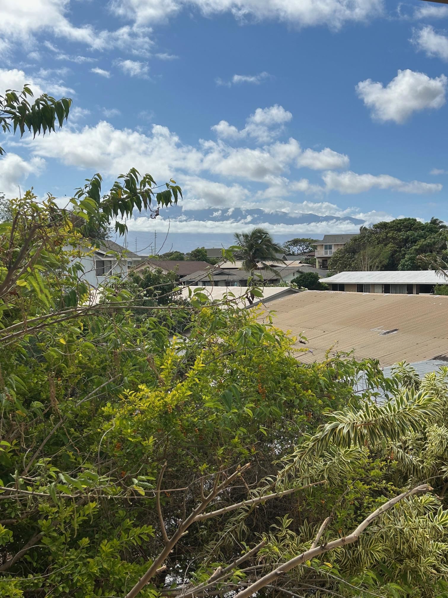 444  One St , Kahului home - photo 16 of 16
