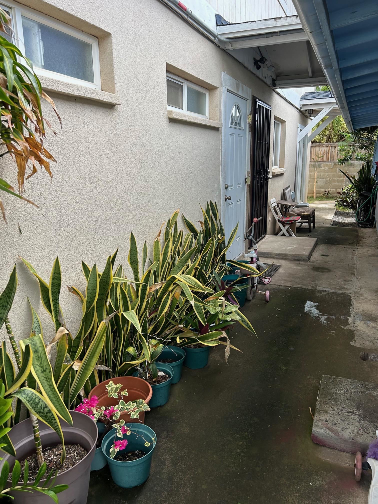 444  One St , Kahului home - photo 5 of 16