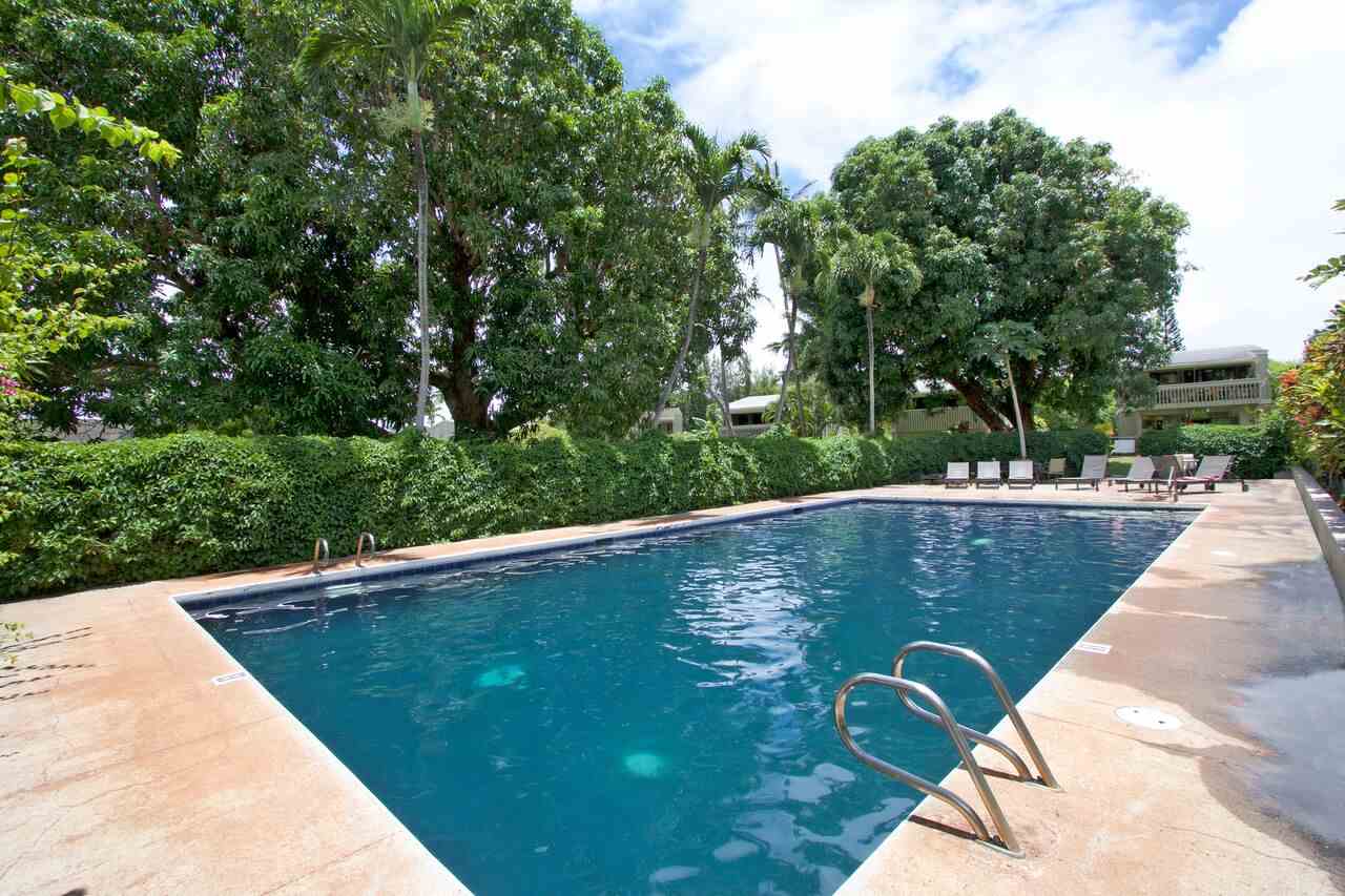 Pohailani Maui condo # 216, Lahaina, Hawaii - photo 16 of 22