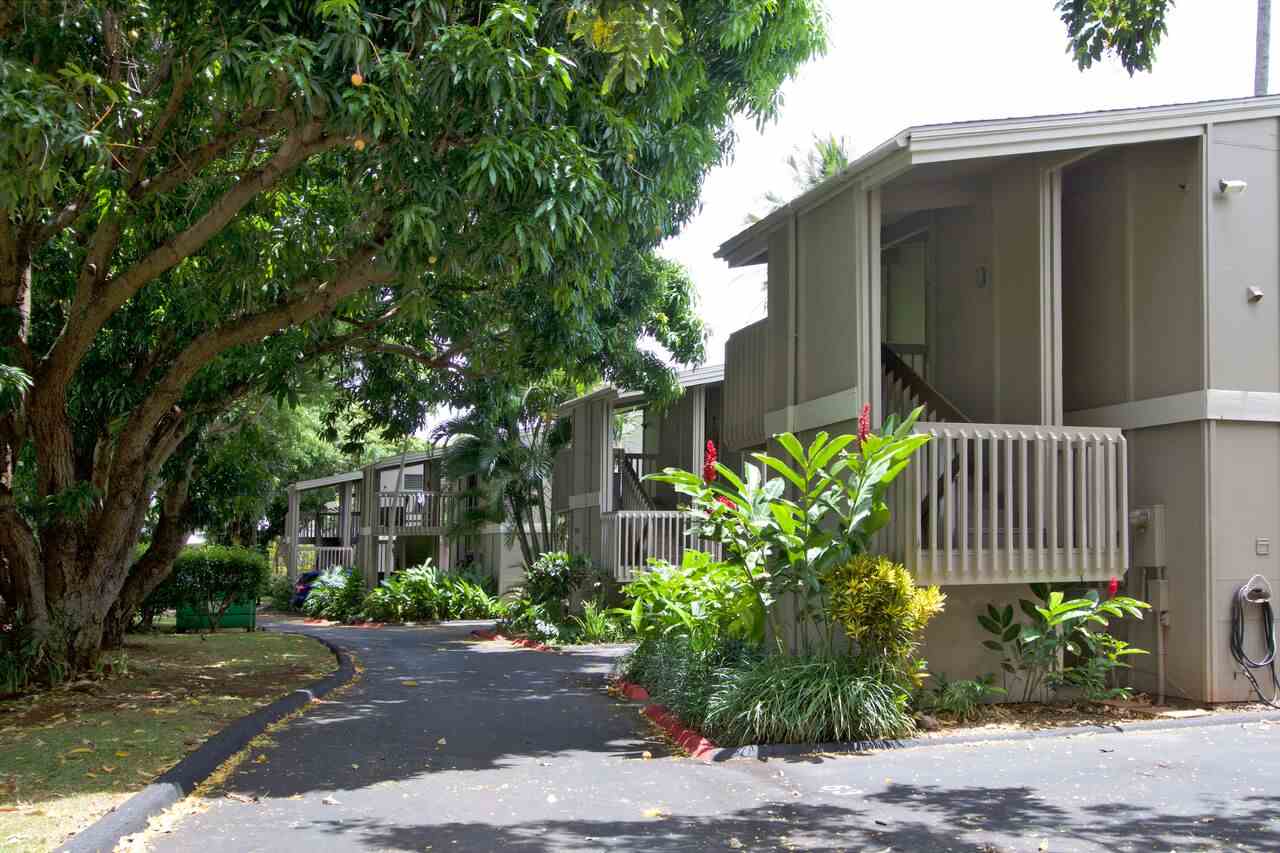 Pohailani Maui condo # 216, Lahaina, Hawaii - photo 19 of 22