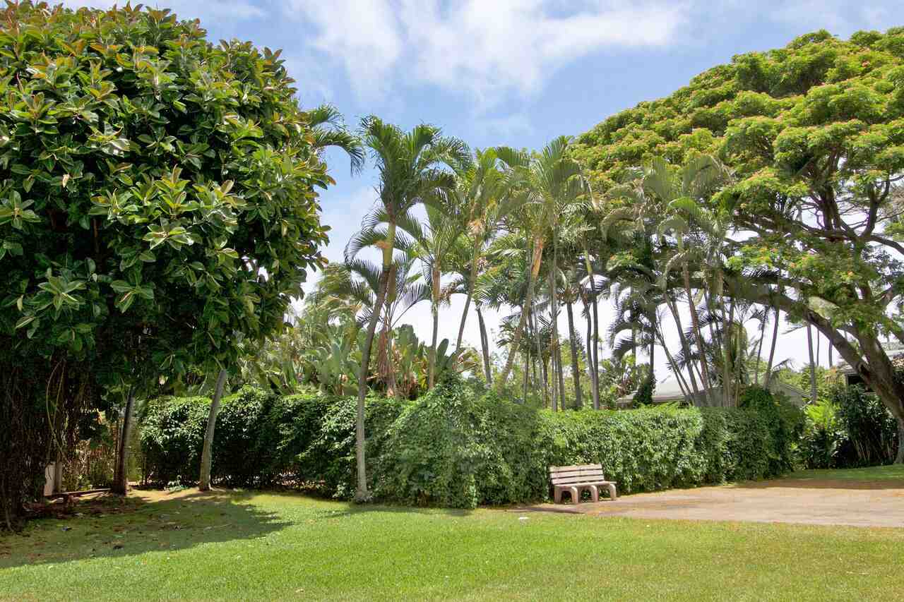 Pohailani Maui condo # 216, Lahaina, Hawaii - photo 21 of 22