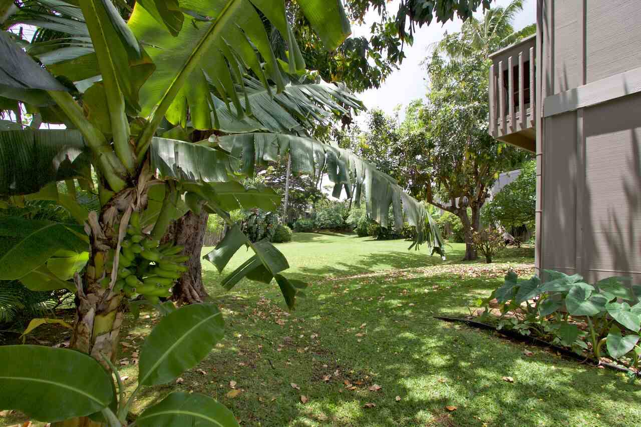 Pohailani Maui condo # 216, Lahaina, Hawaii - photo 22 of 22