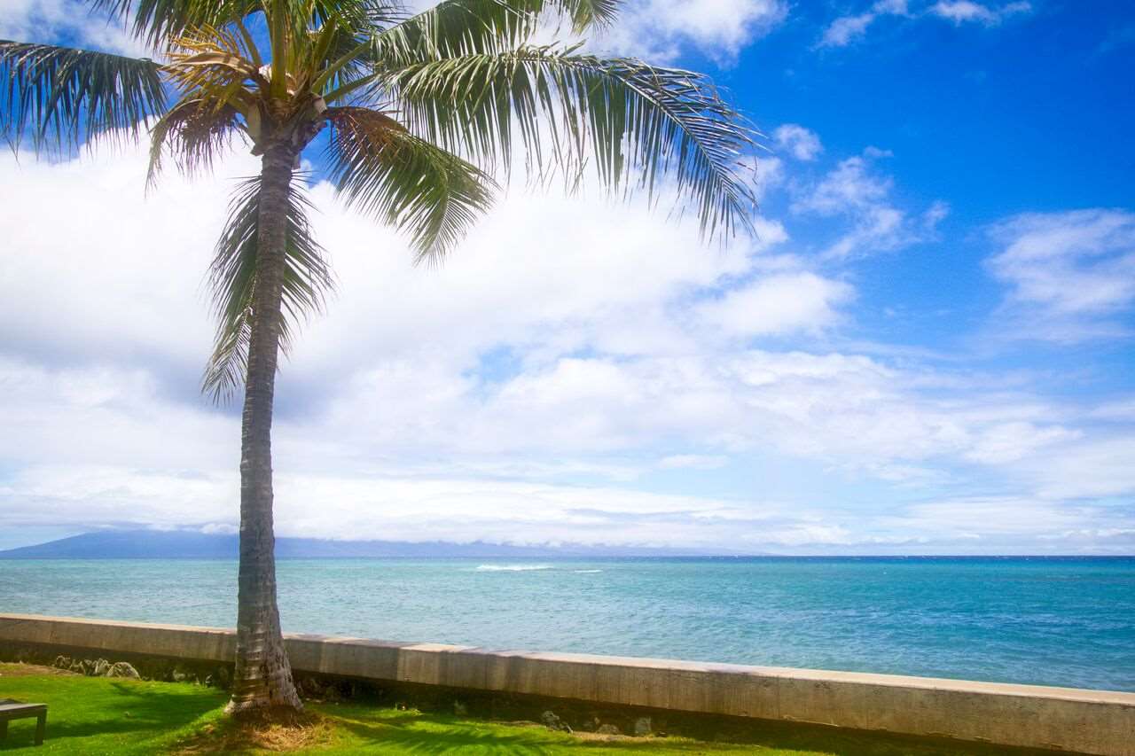 Pohailani Maui condo # 216, Lahaina, Hawaii - photo 4 of 22