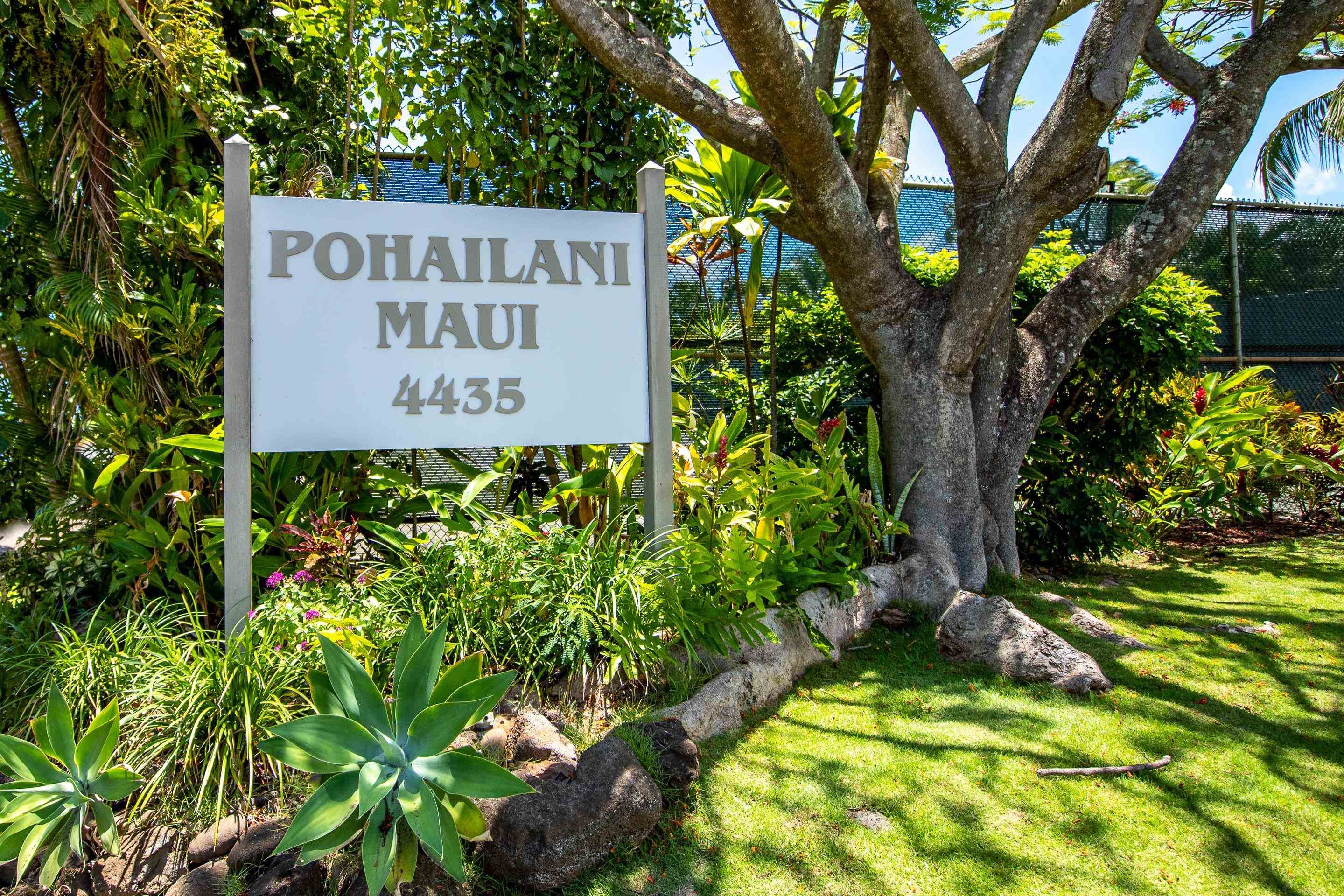 Pohailani Maui condo # 123, Lahaina, Hawaii - photo 24 of 26