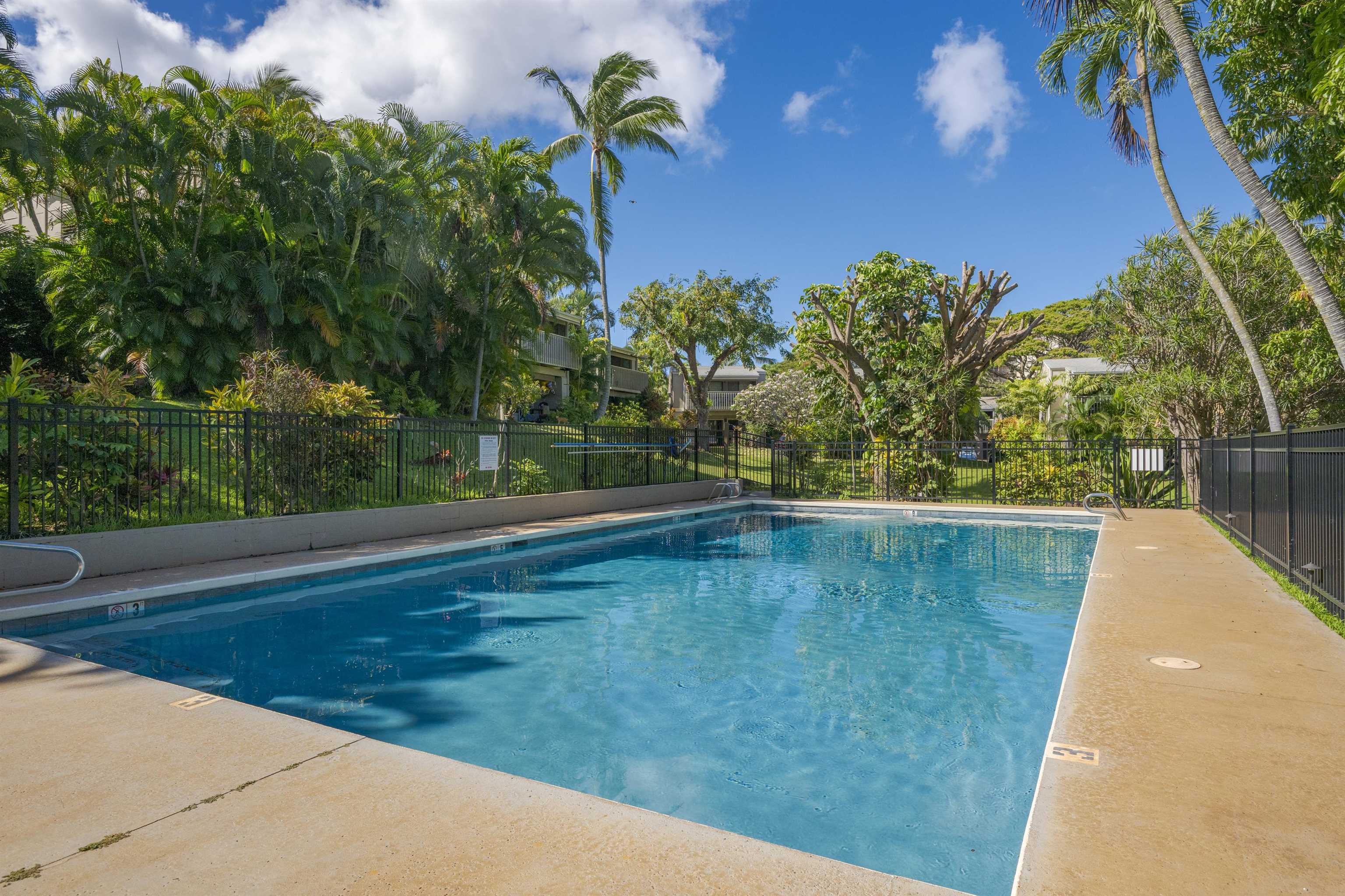 Pohailani Maui condo # 124, Lahaina, Hawaii - photo 22 of 30