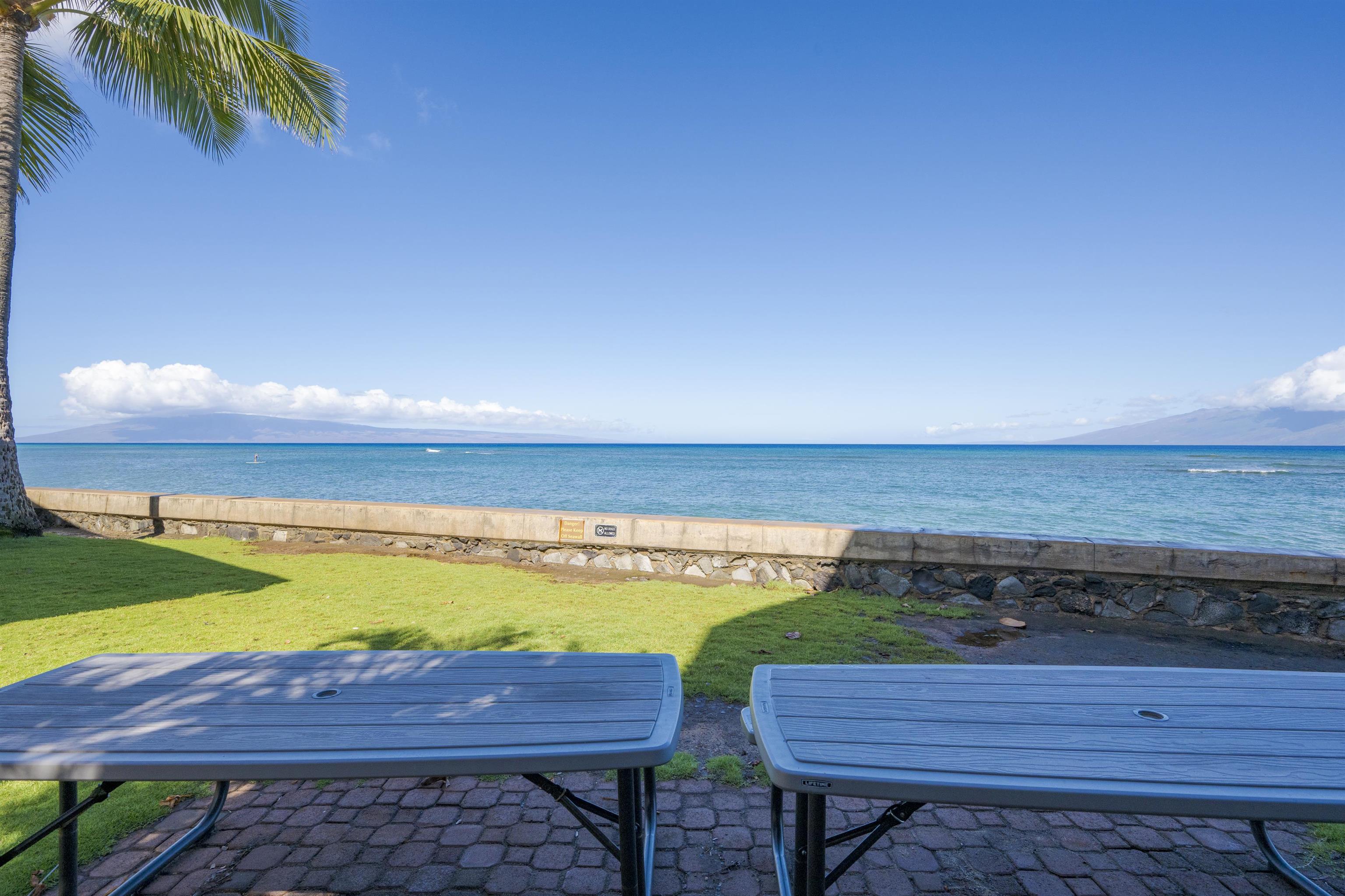 Pohailani Maui condo # 124, Lahaina, Hawaii - photo 25 of 30