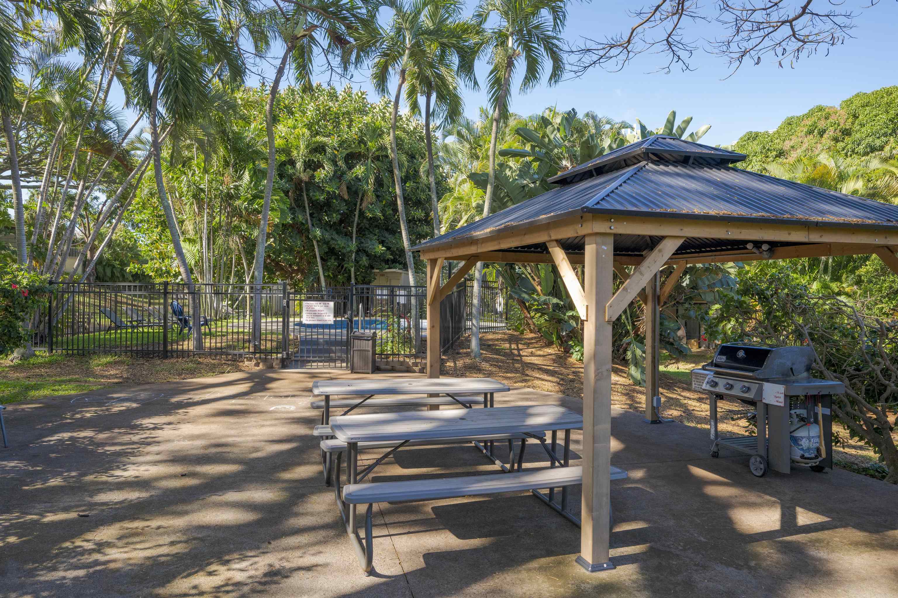Pohailani Maui condo # 124, Lahaina, Hawaii - photo 26 of 30