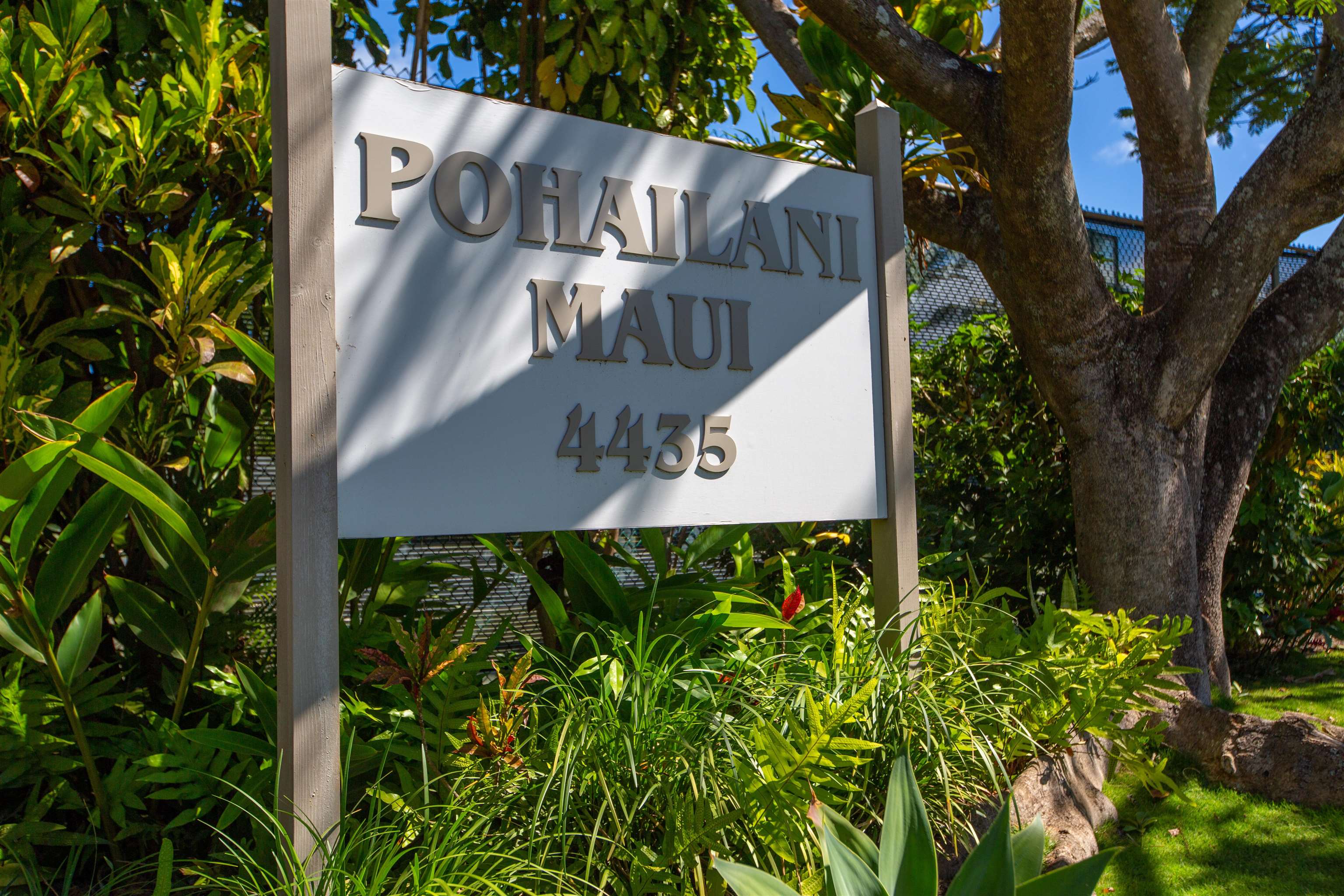 Pohailani Maui condo # 140, Lahaina, Hawaii - photo 27 of 30