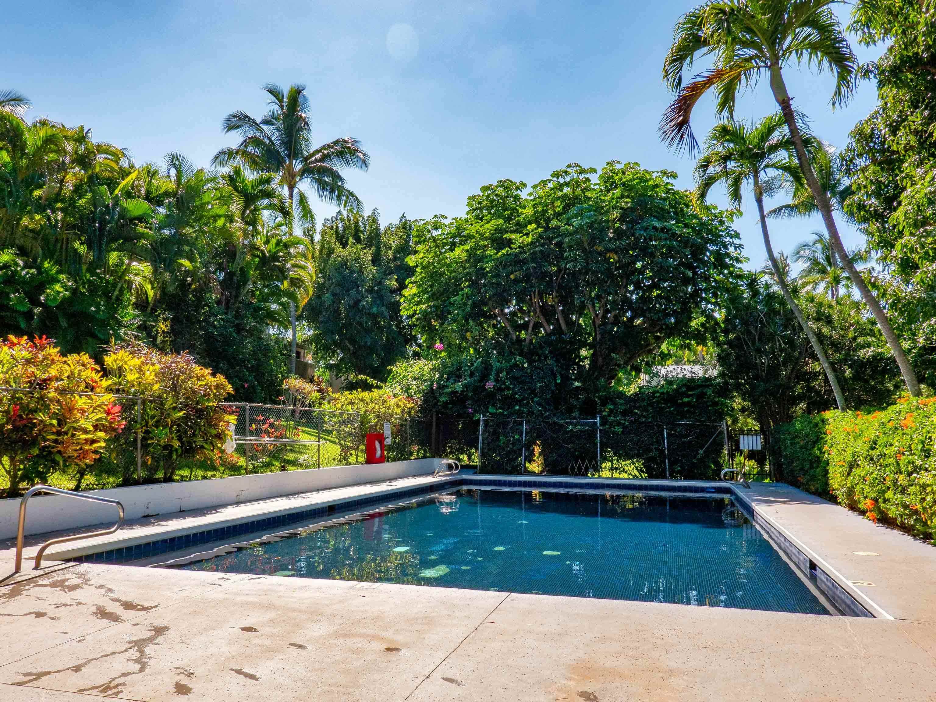 Pohailani Maui condo # 154, Lahaina, Hawaii - photo 23 of 31