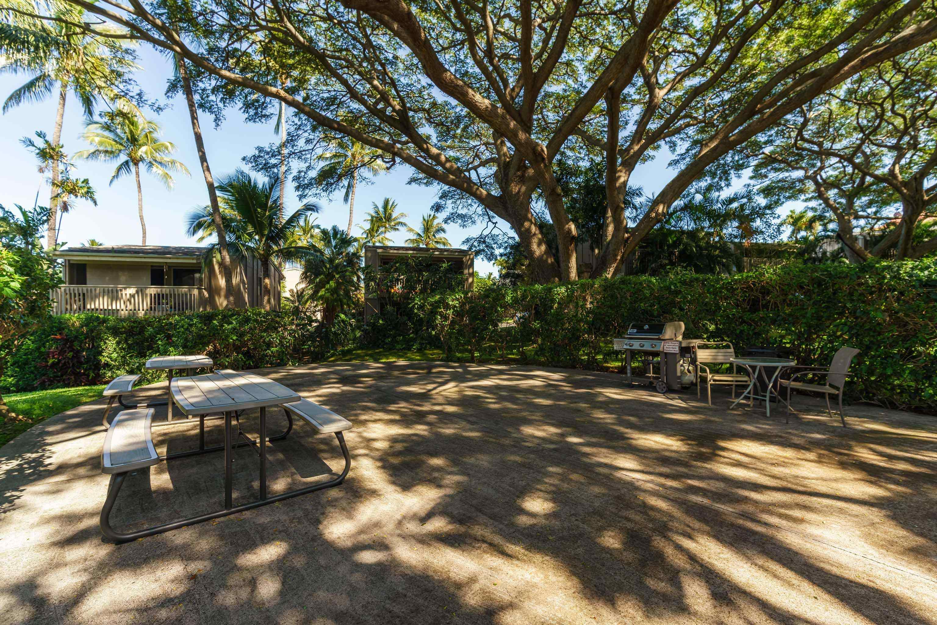 Pohailani Maui condo # 154, Lahaina, Hawaii - photo 28 of 31