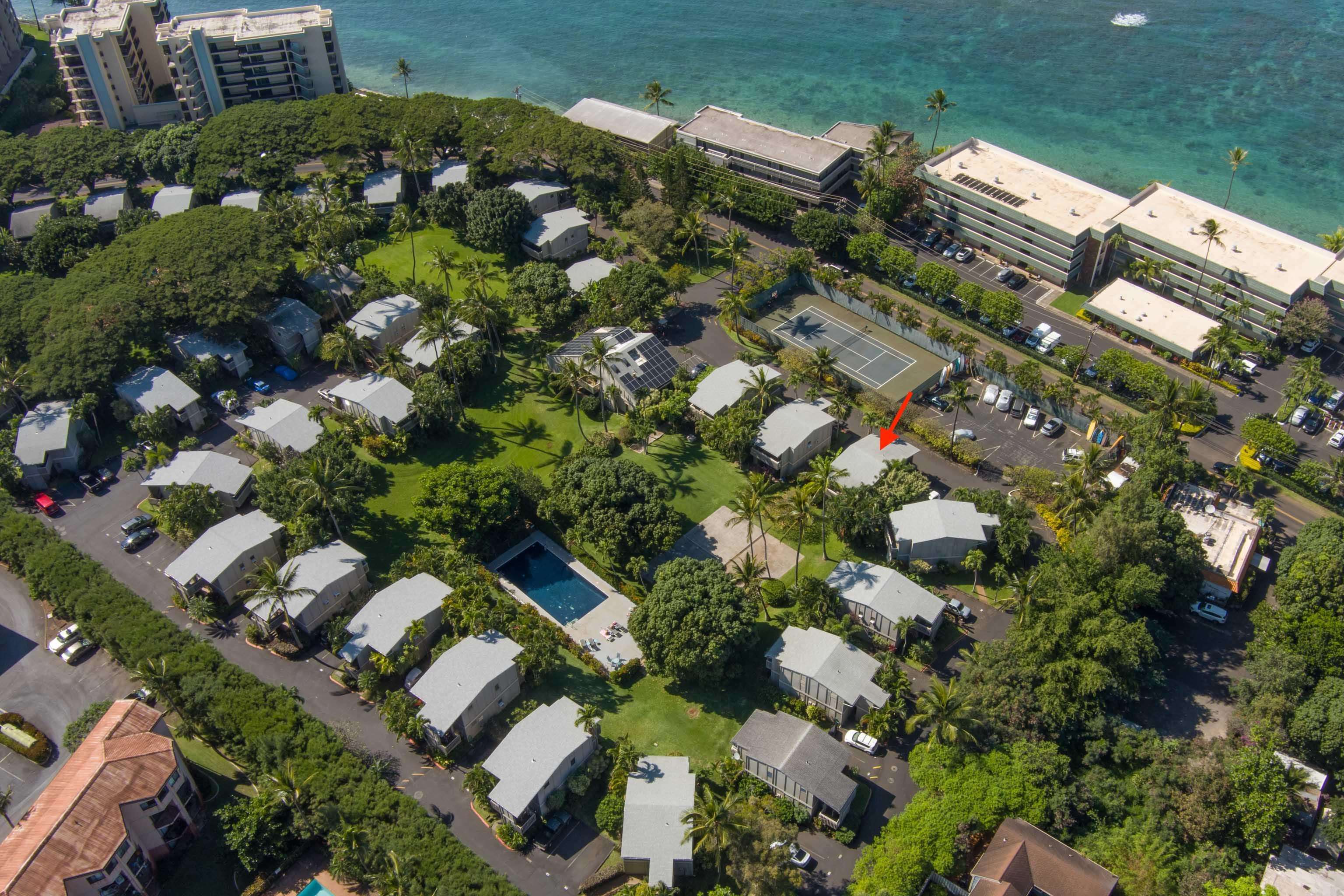 Pohailani Maui condo # 154, Lahaina, Hawaii - photo 29 of 31