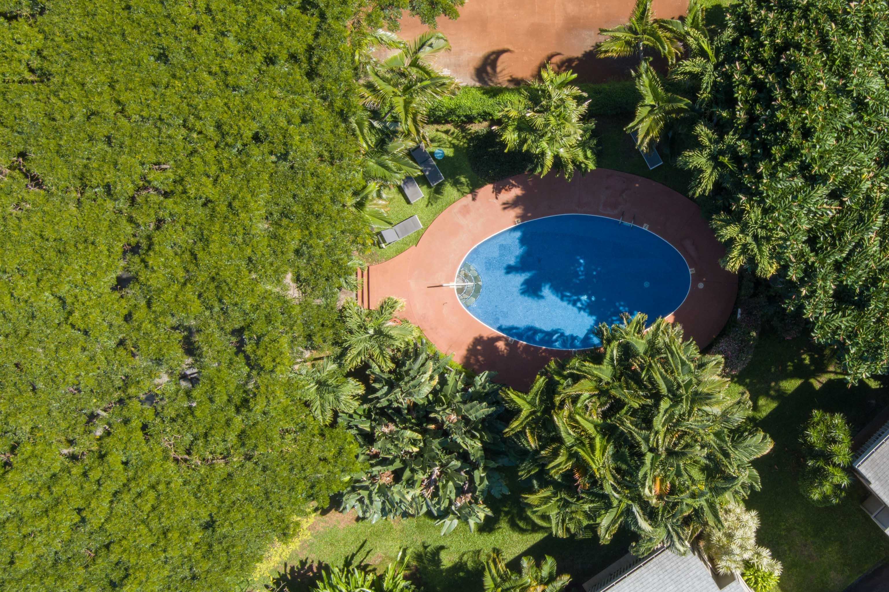 Pohailani Maui condo # 154, Lahaina, Hawaii - photo 27 of 32