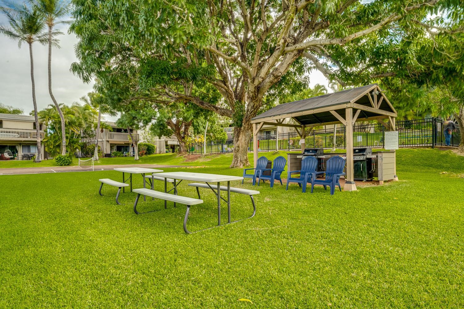 Pohailani Maui condo # 154, Lahaina, Hawaii - photo 25 of 40