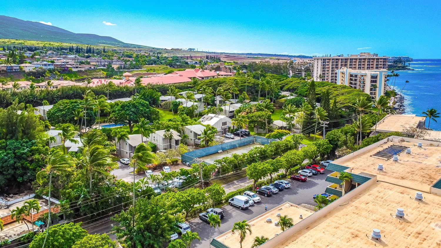 Pohailani Maui condo # 154, Lahaina, Hawaii - photo 36 of 40