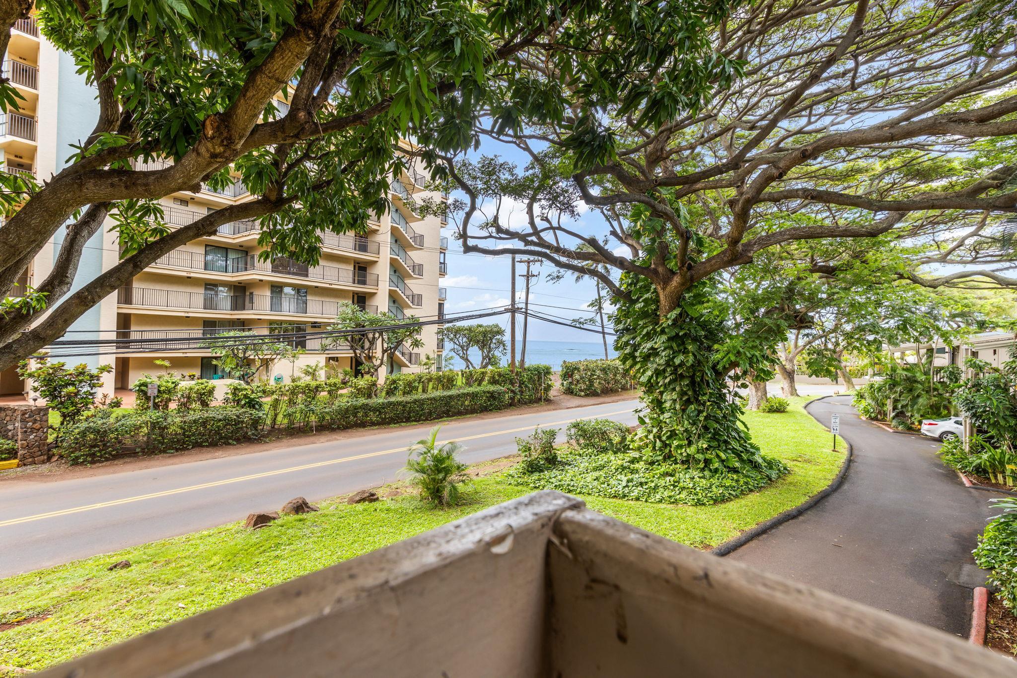 Pohailani Maui condo # 221, Lahaina, Hawaii - photo 29 of 50