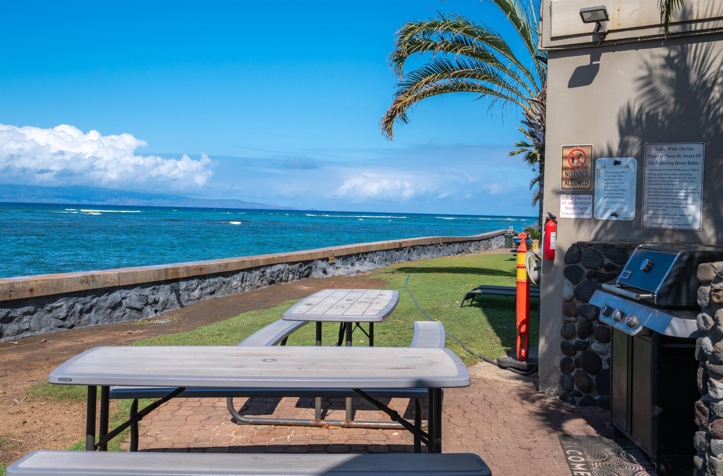 Pohailani Maui condo # 221, Lahaina, Hawaii - photo 26 of 30