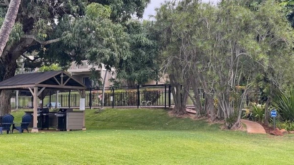 Pohailani Maui condo # 221, Lahaina, Hawaii - photo 30 of 30