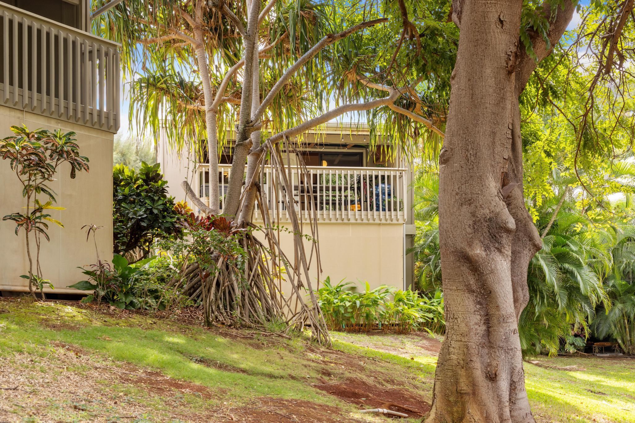 Pohailani Maui condo # 228, Lahaina, Hawaii - photo 21 of 43