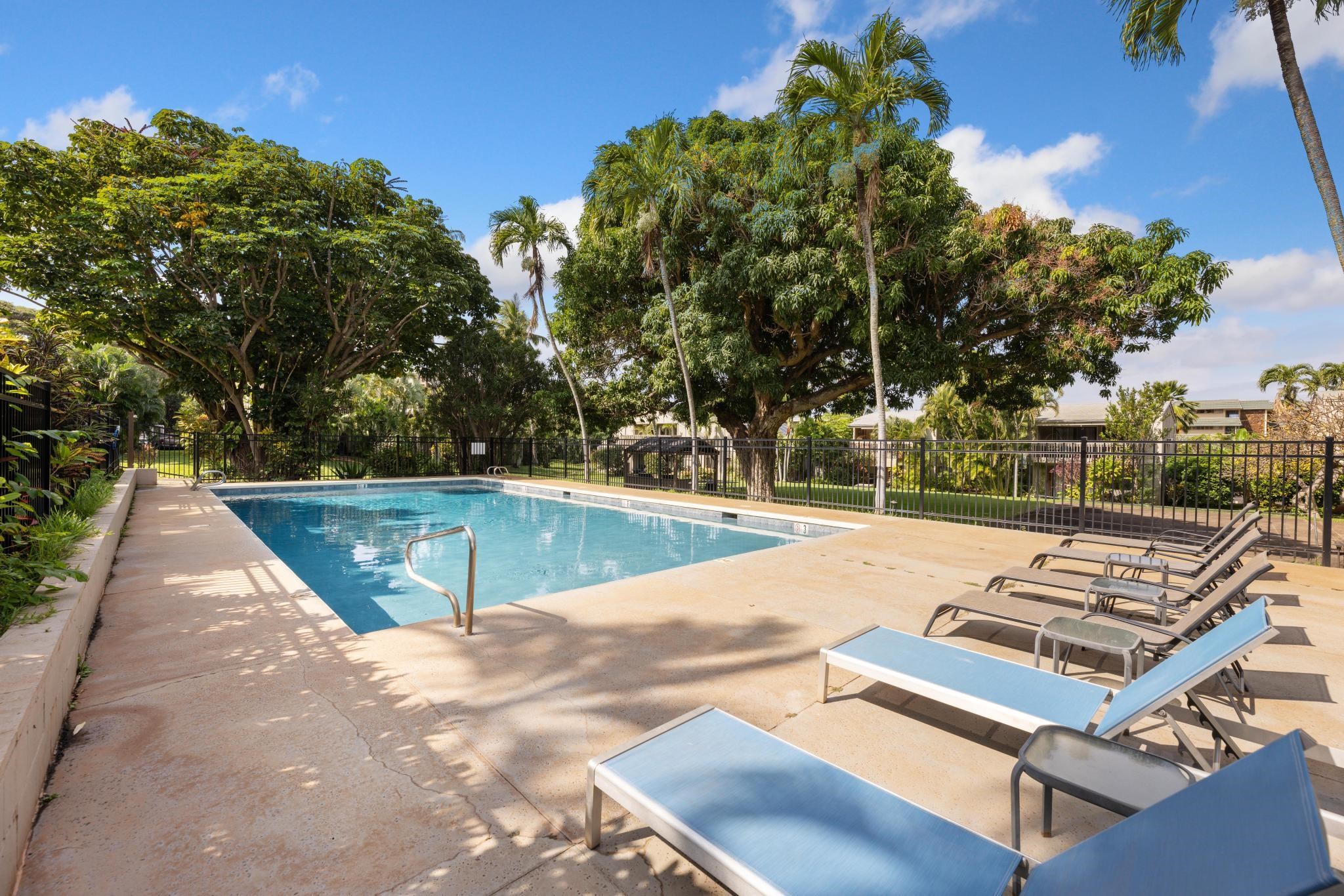 Pohailani Maui condo # 228, Lahaina, Hawaii - photo 24 of 43