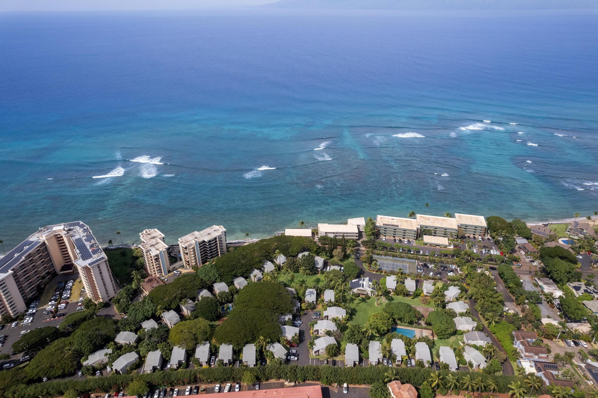 Pohailani Maui condo # 228, Lahaina, Hawaii - photo 40 of 43
