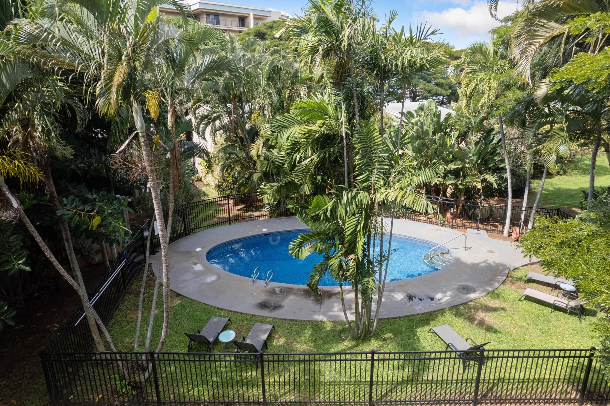 Pohailani Maui condo # 228, Lahaina, Hawaii - photo 41 of 43