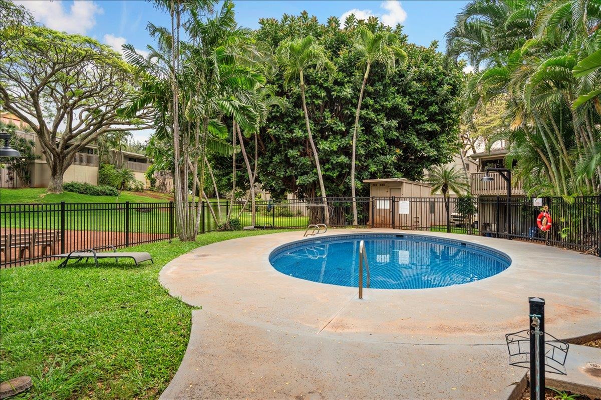 Pohailani Maui condo # 237, Lahaina, Hawaii - photo 28 of 33