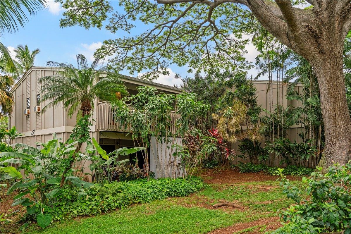 Pohailani Maui condo # 237, Lahaina, Hawaii - photo 7 of 33