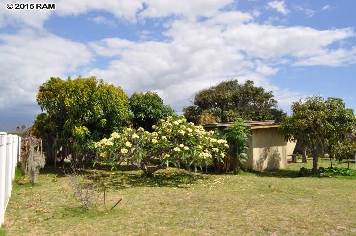 447  S Kamehameha Ave , Kahului home - photo 21 of 23