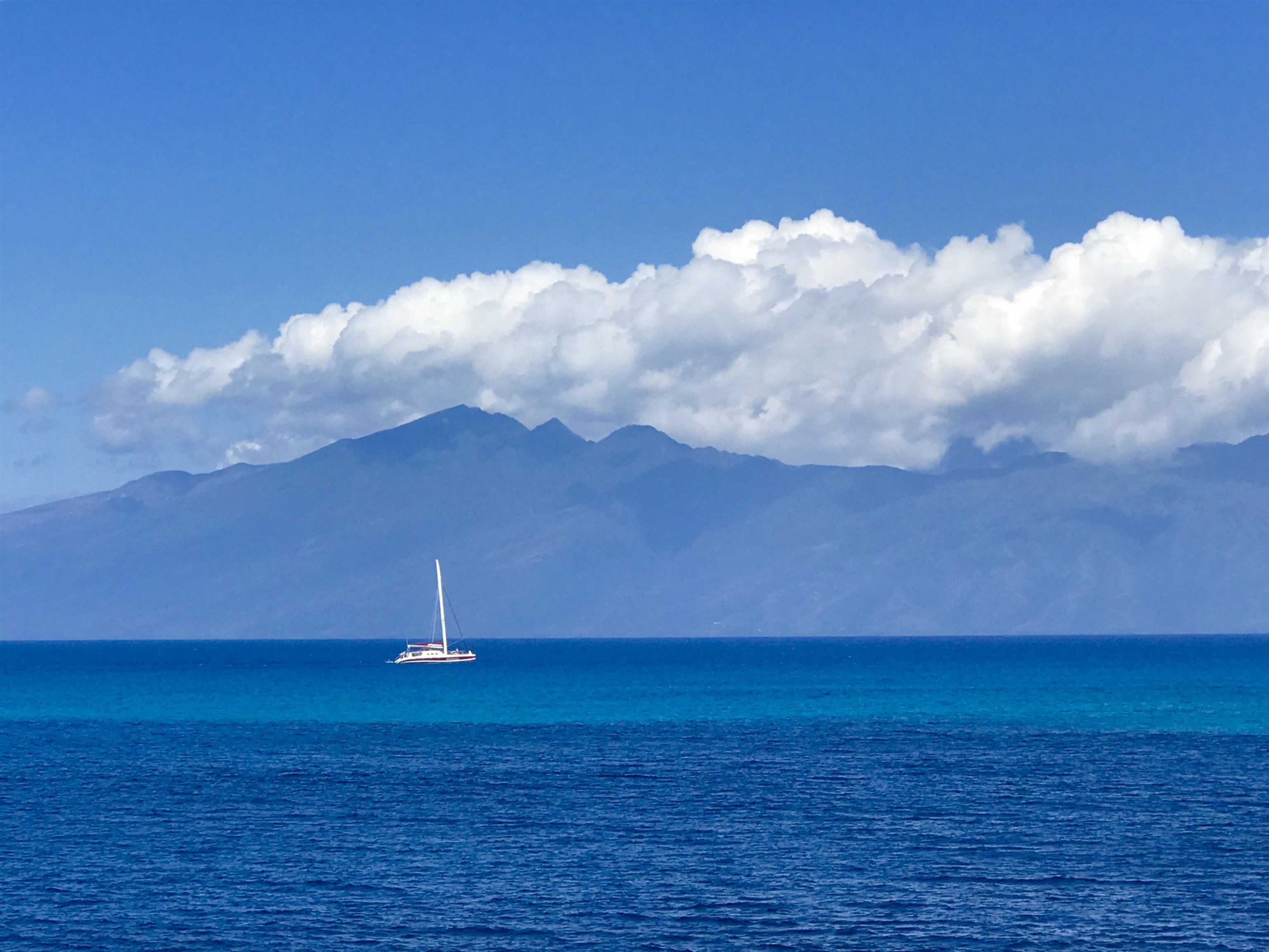 Kahana Reef condo # 118, Lahaina, Hawaii - photo 20 of 41