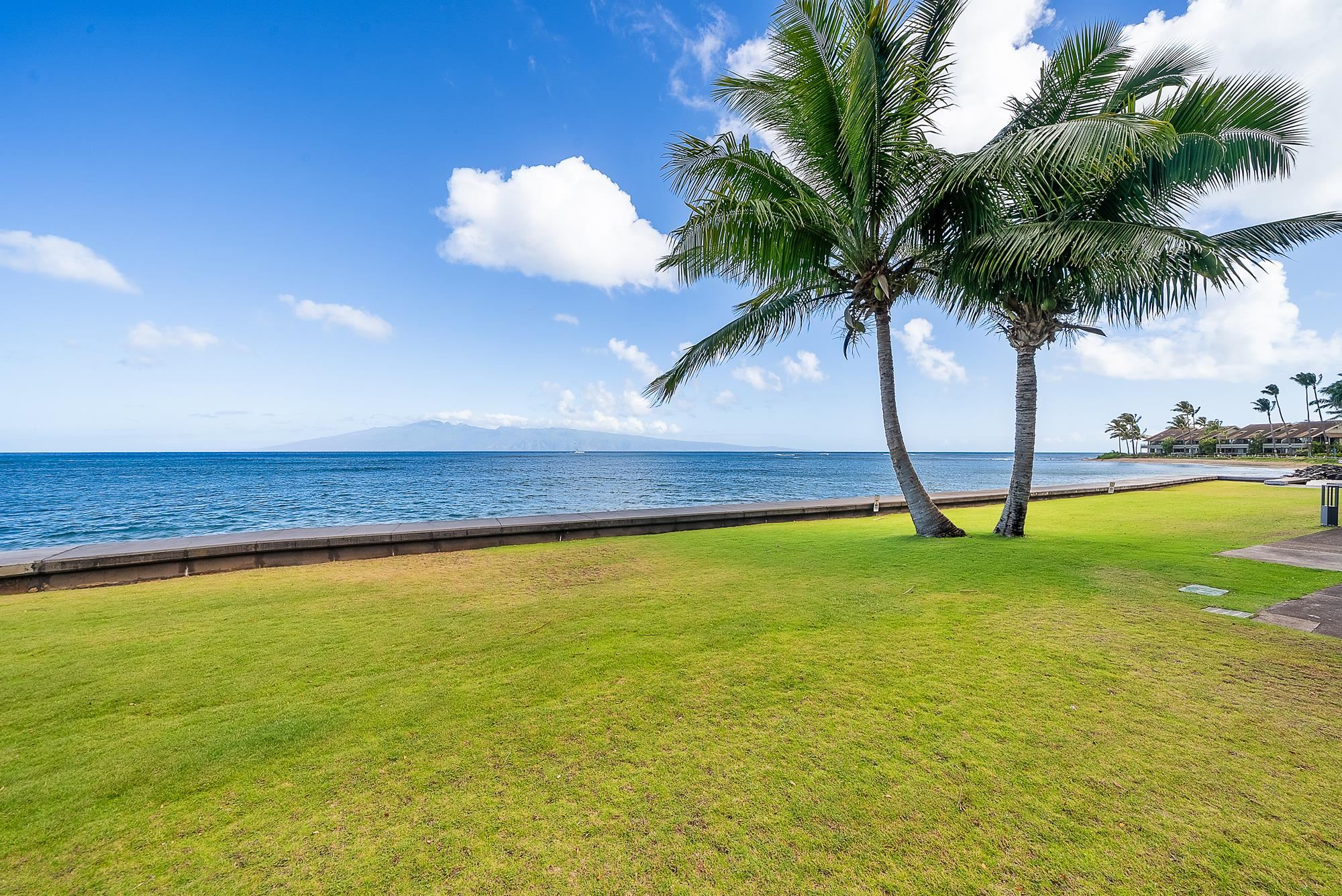 Kahana Reef condo # 118, Lahaina, Hawaii - photo 29 of 41