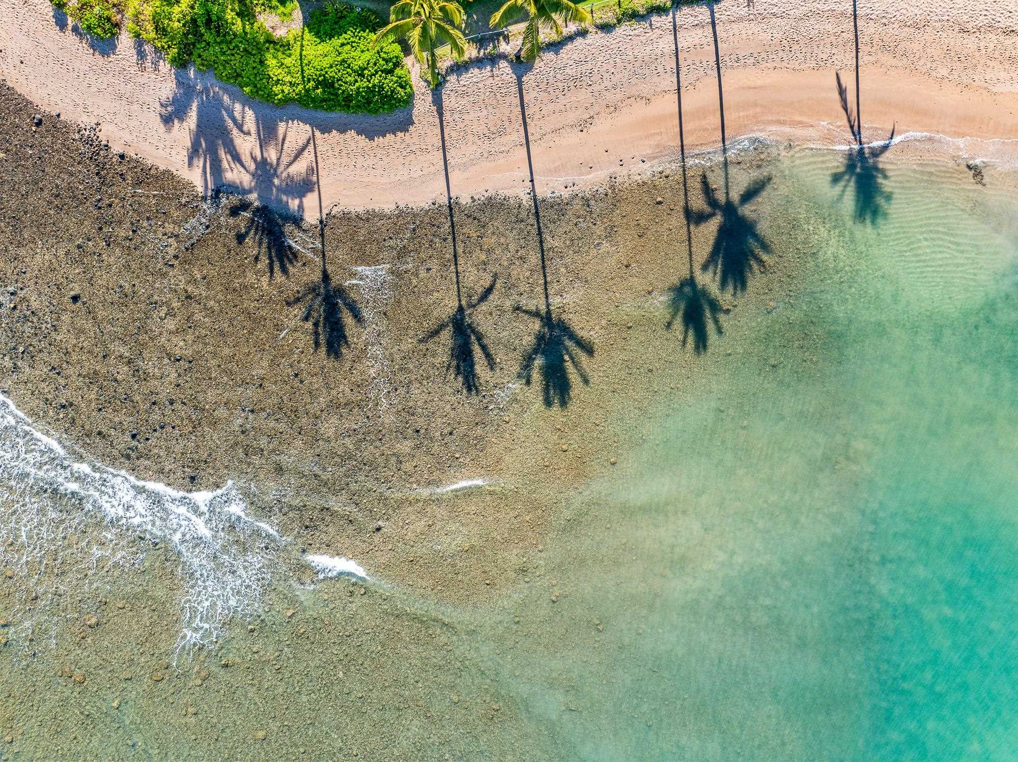 Kahana Reef condo # 118, Lahaina, Hawaii - photo 30 of 41
