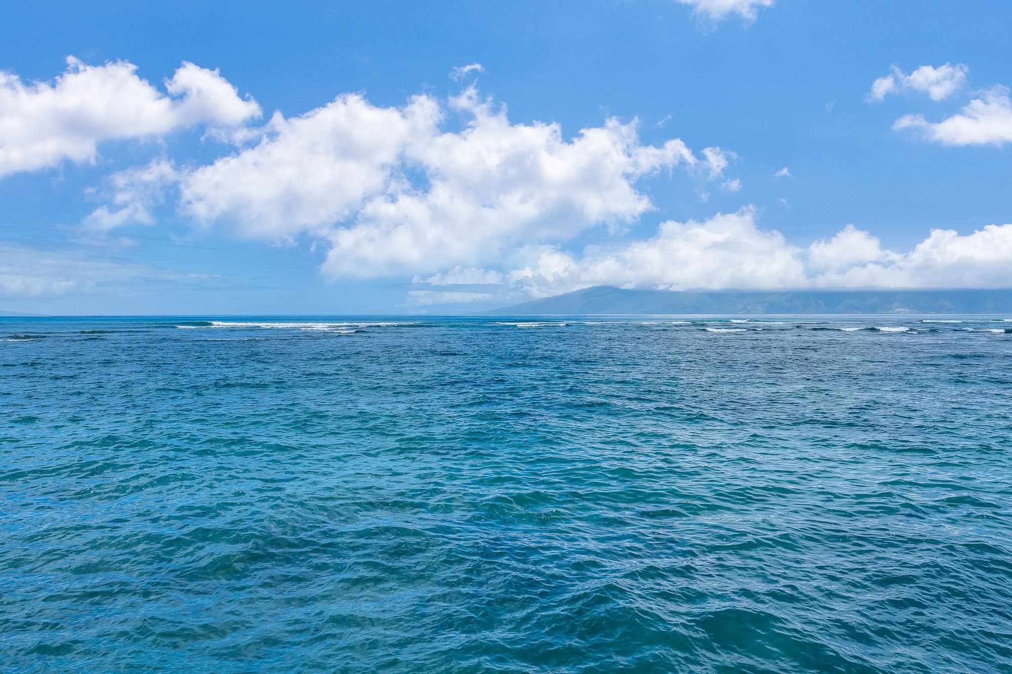 Kahana Reef condo # 118, Lahaina, Hawaii - photo 39 of 41