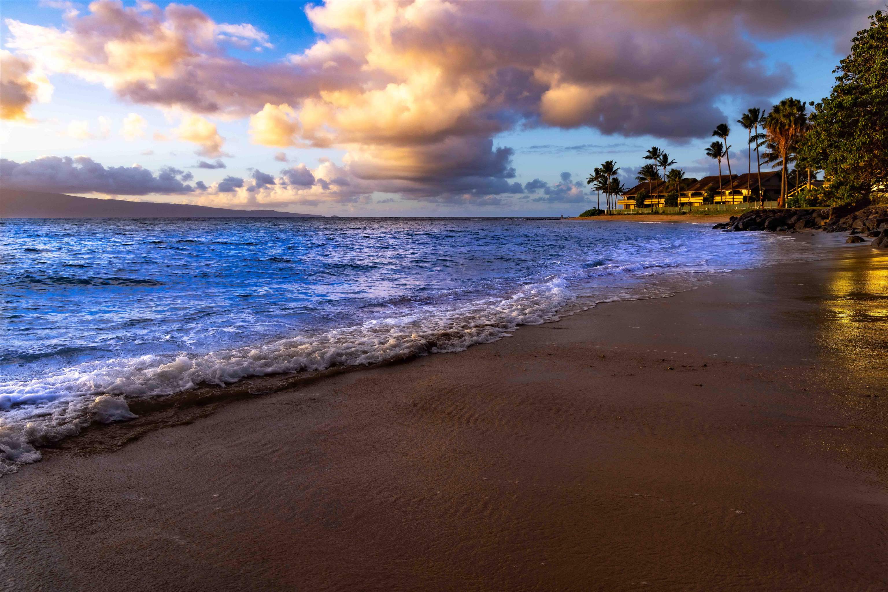 Kahana Reef condo # 118, Lahaina, Hawaii - photo 40 of 41