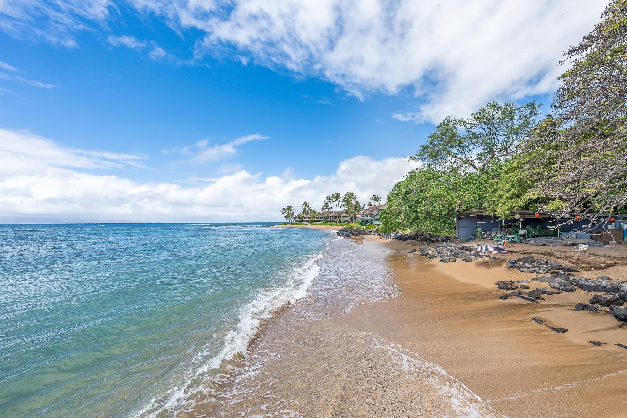 Kahana Reef condo # 118, Lahaina, Hawaii - photo 41 of 41