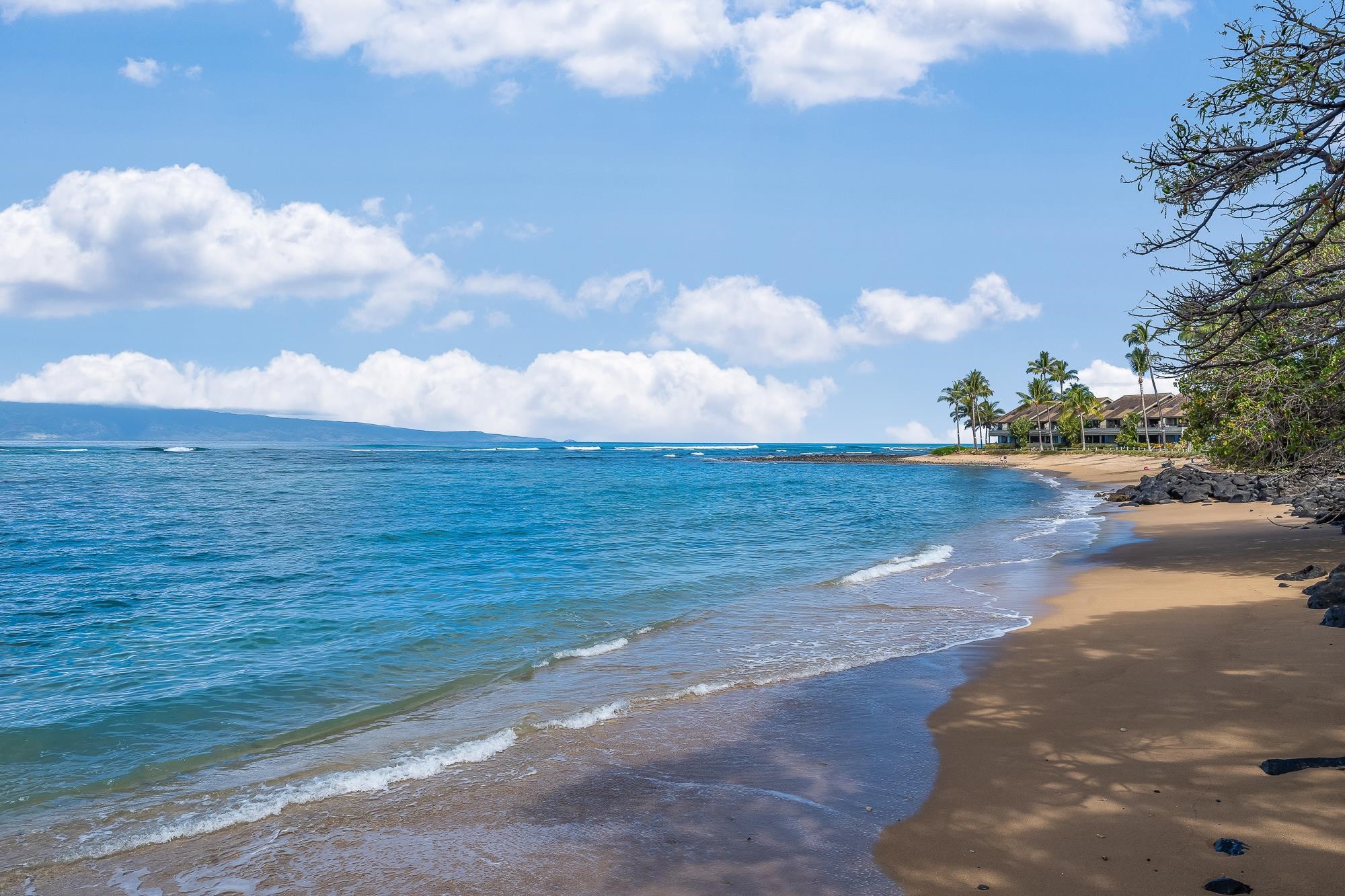Kahana Reef condo # 203, Lahaina, Hawaii - photo 11 of 40