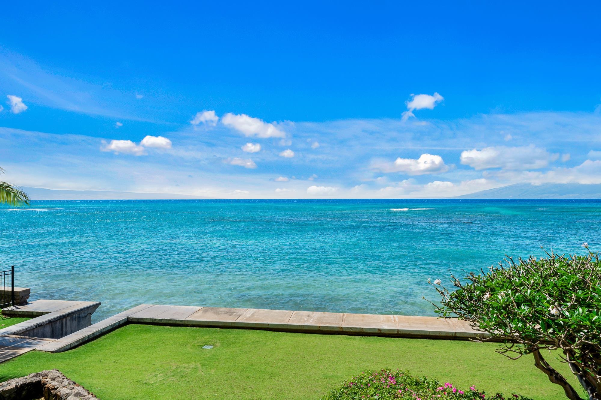 Kahana Reef condo # 203, Lahaina, Hawaii - photo 35 of 40