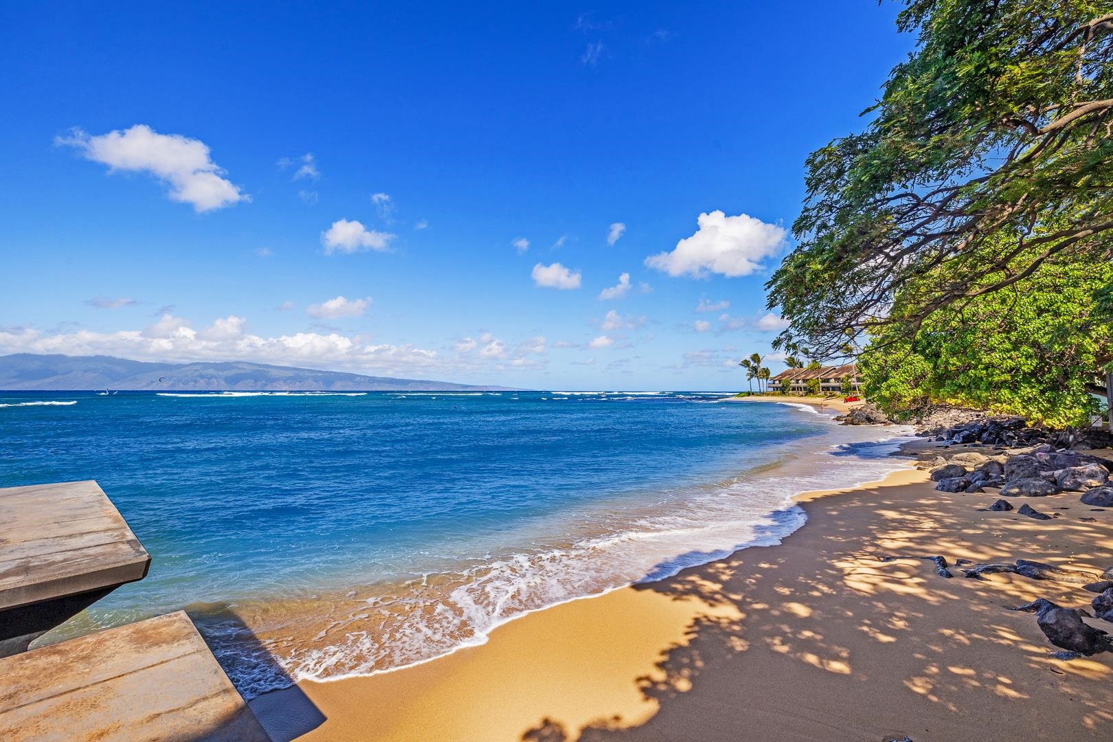 Kahana Reef condo # 204, Lahaina, Hawaii - photo 28 of 34