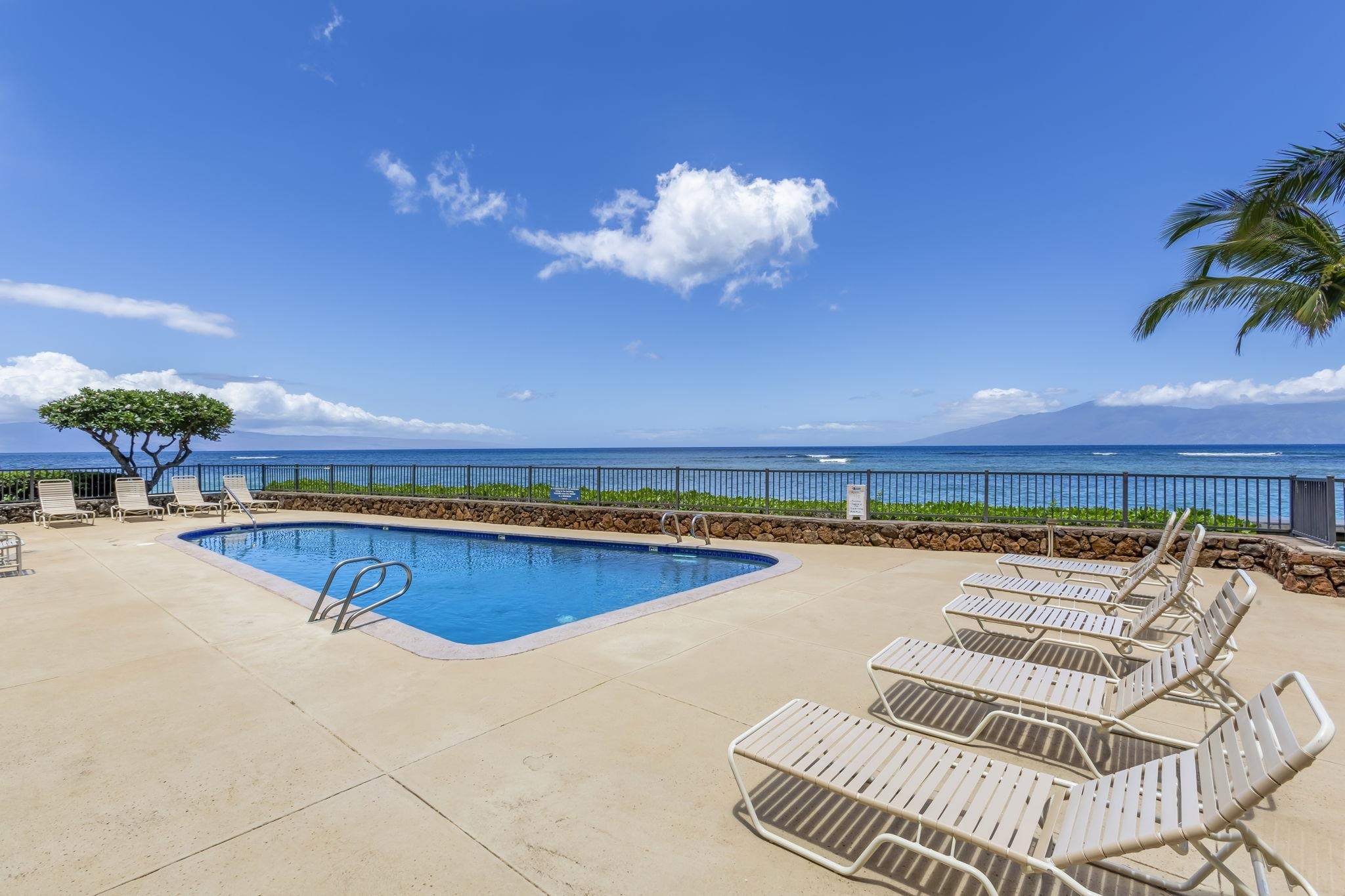 Kahana Reef condo # 214, Lahaina, Hawaii - photo 37 of 38