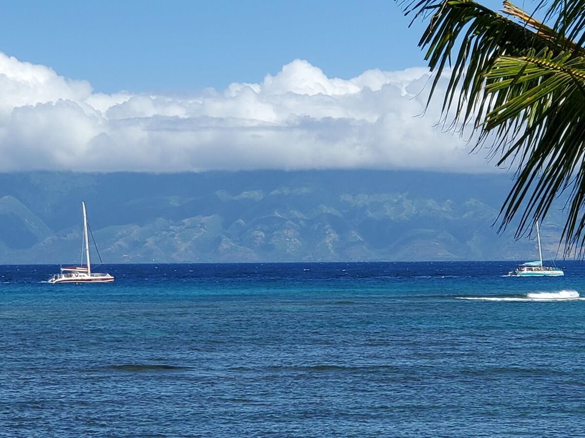 Kahana Reef condo # 215, Lahaina, Hawaii - photo 18 of 26