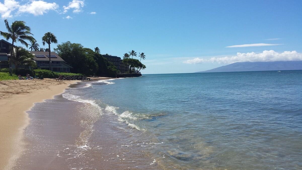 Kahana Reef condo # 215, Lahaina, Hawaii - photo 25 of 26