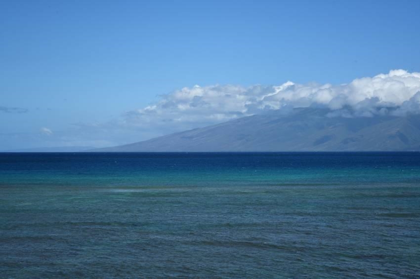 Kahana Reef condo # 216, Lahaina, Hawaii - photo 28 of 30