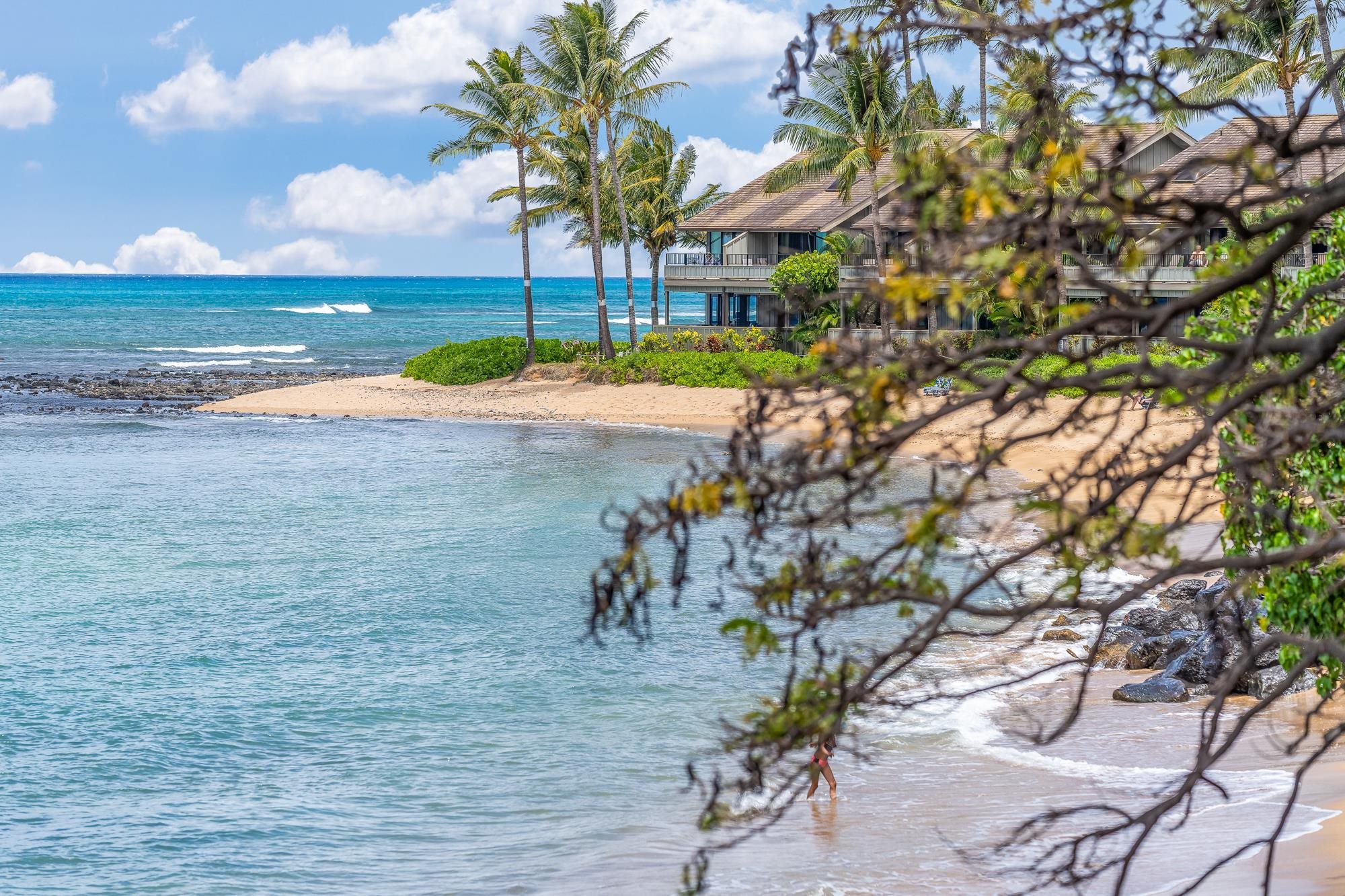 Kahana Reef condo # 221, Lahaina, Hawaii - photo 9 of 35