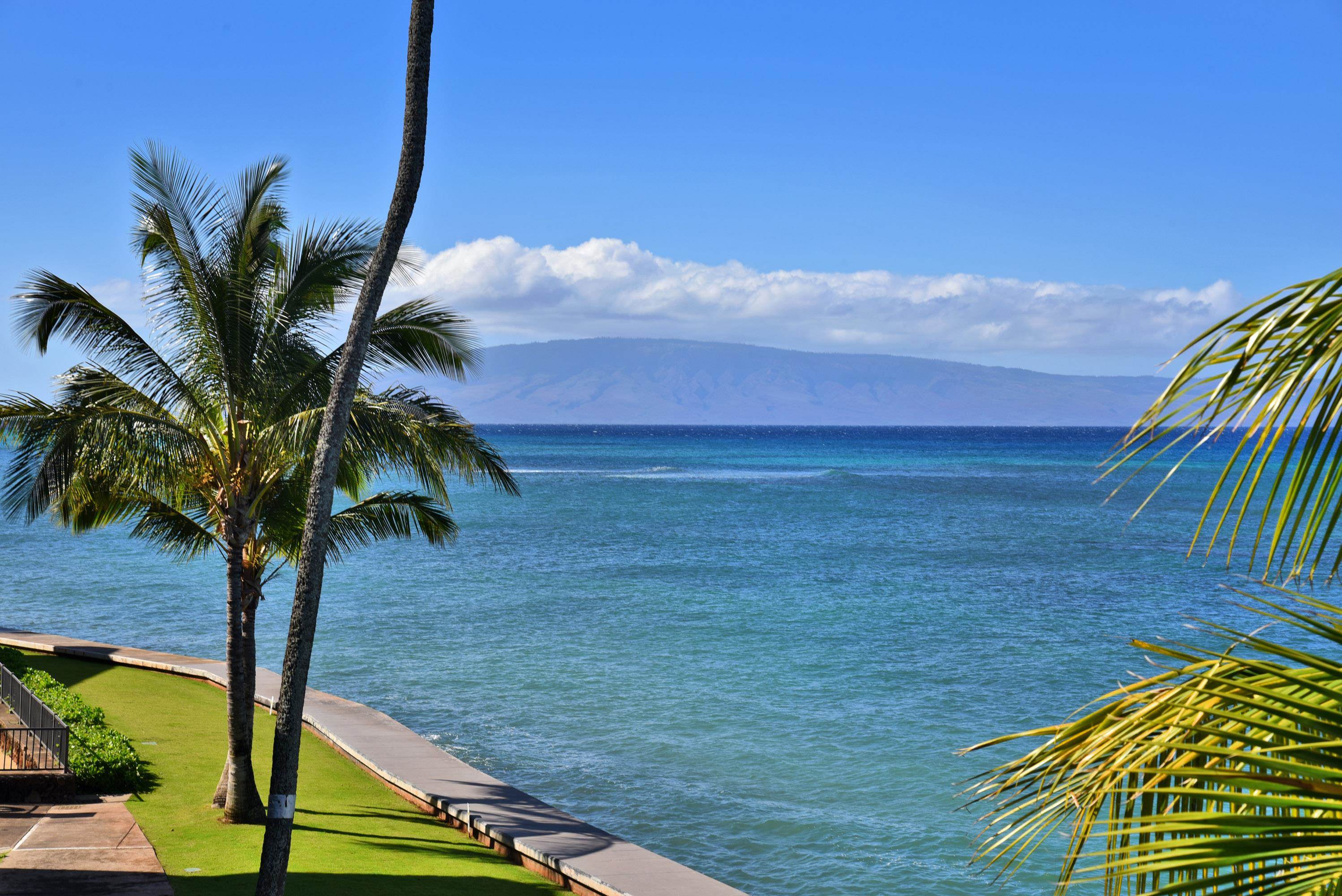 Kahana Reef condo # 317, Lahaina, Hawaii - photo 19 of 26