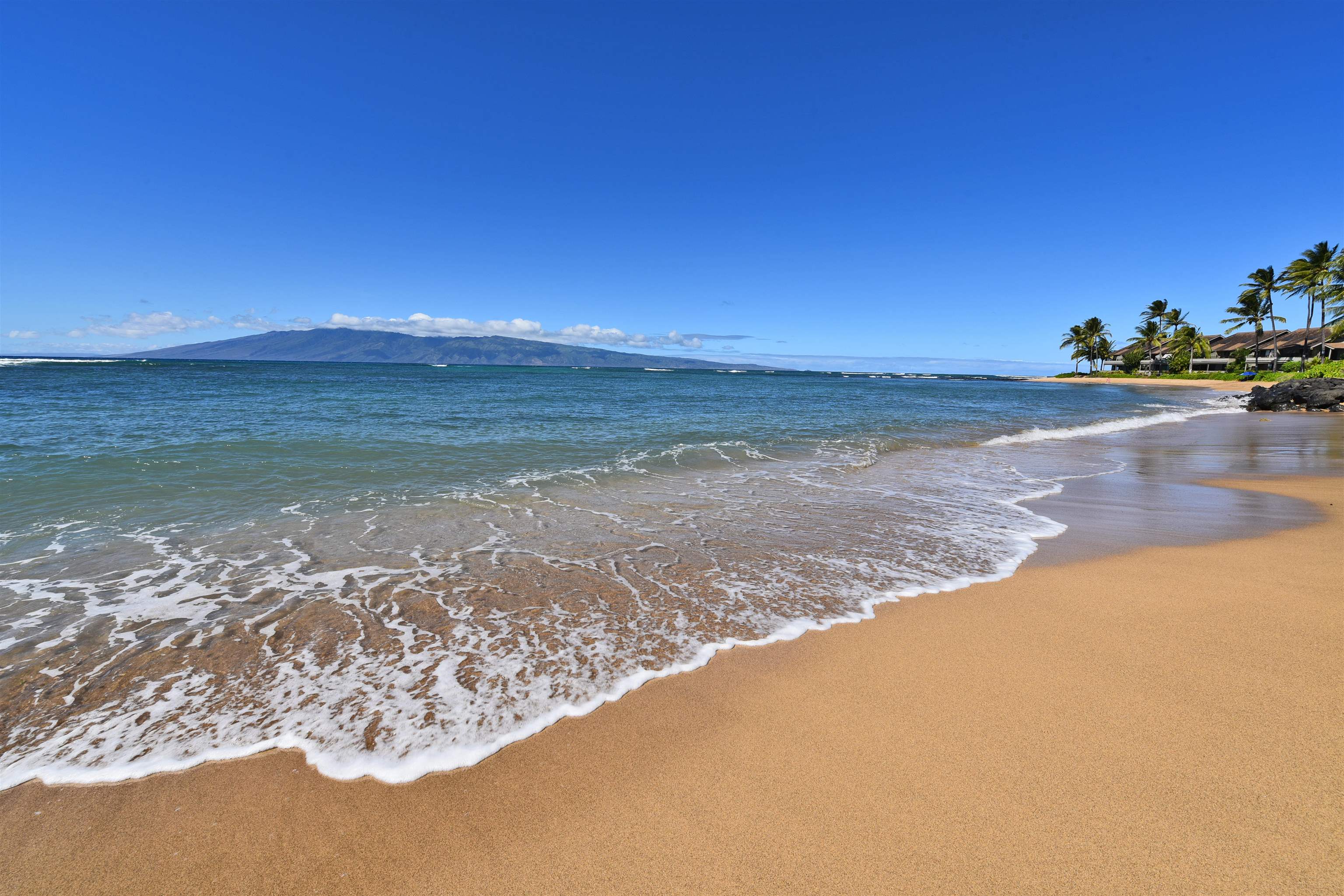 Kahana Reef condo # 317, Lahaina, Hawaii - photo 22 of 26