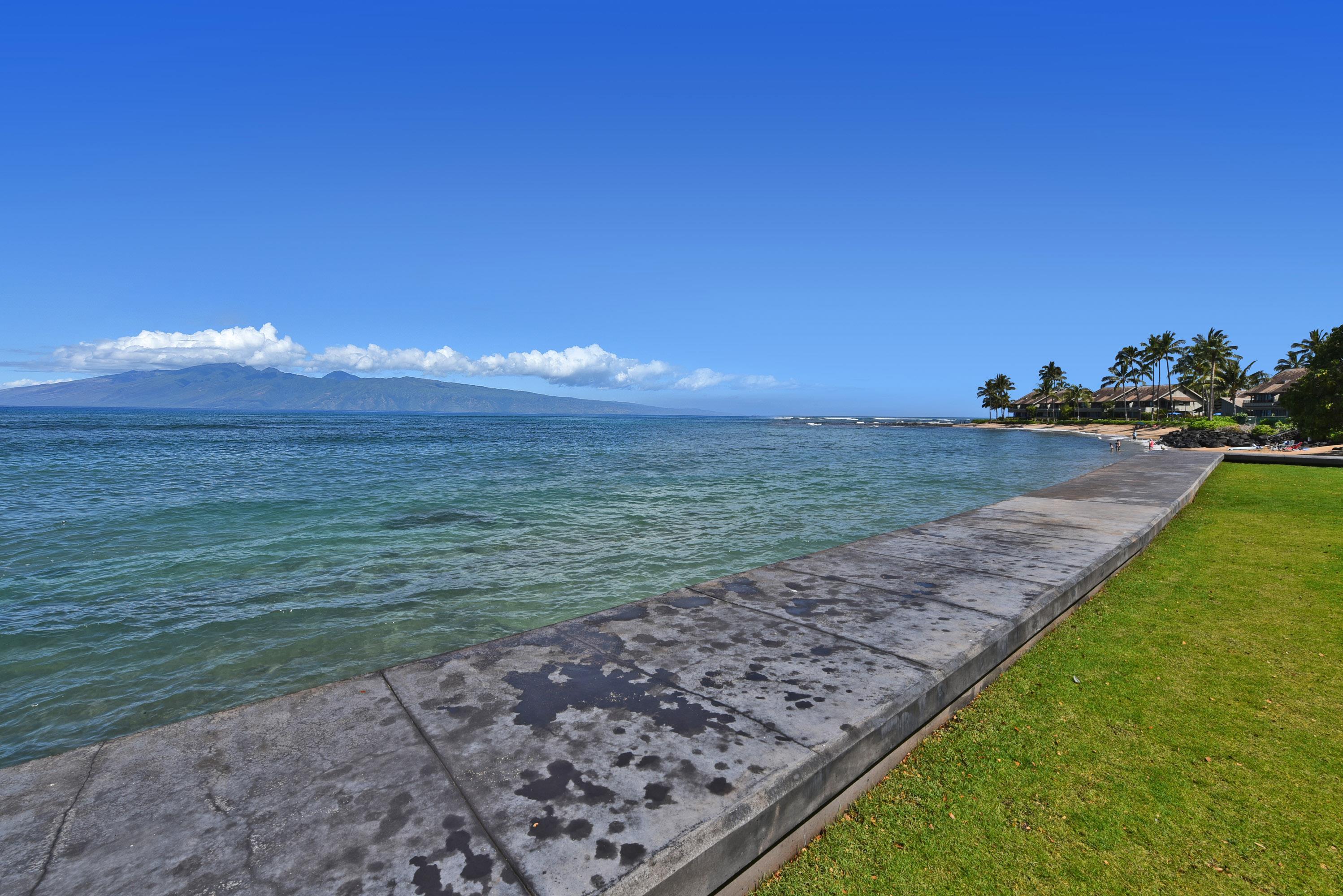 Kahana Reef condo # 317, Lahaina, Hawaii - photo 23 of 26