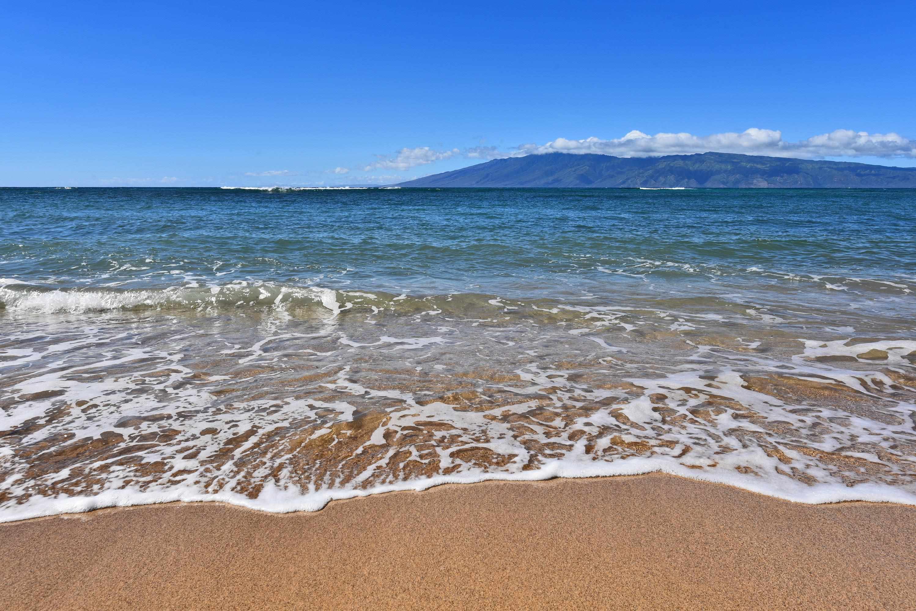 Kahana Reef condo # 317, Lahaina, Hawaii - photo 26 of 26